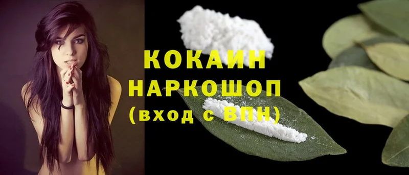 Cocaine Fish Scale  как найти закладки  Нелидово 